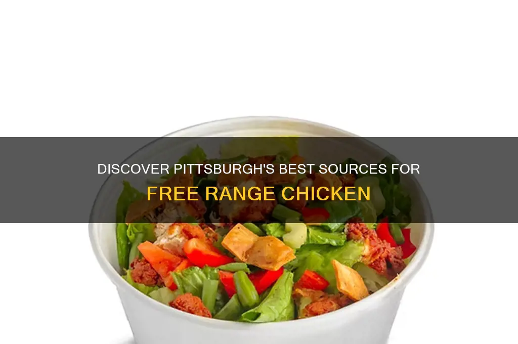 where to buy free range chicken in pittsburgh