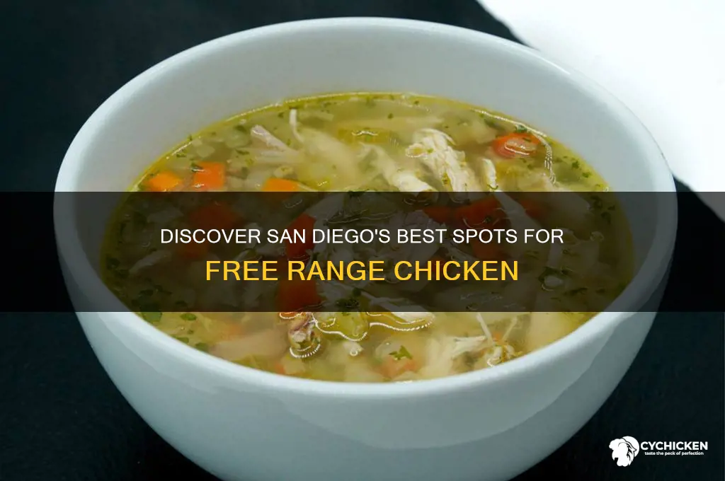 where to buy free range chicken in san diego