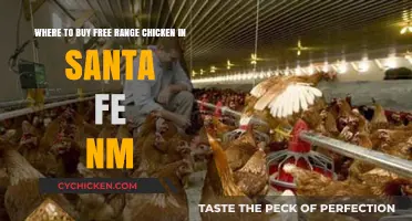 Discover Santa Fe's Best Sources for Free Range Chicken