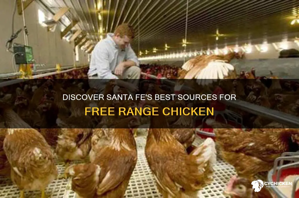 where to buy free range chicken in santa fe nm