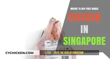 Discover Singapore's Best Spots for Free-Range Chicken Purchases