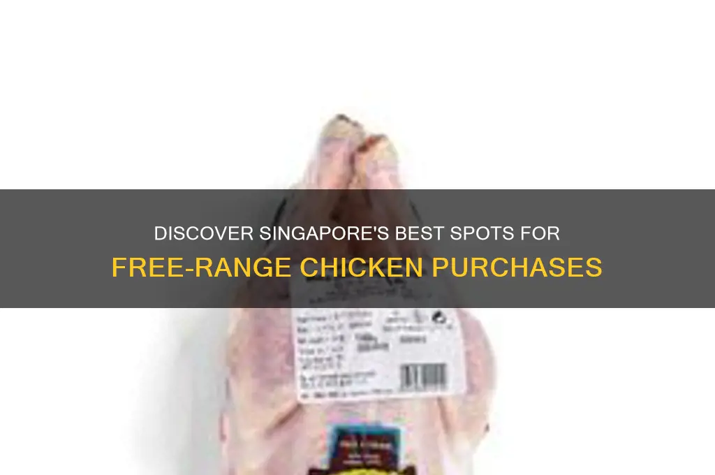where to buy free range chicken in singapore