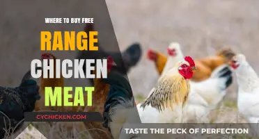 Discover Top Sources for Fresh, Free-Range Chicken Meat