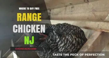 Discover Top Spots to Buy Free Range Chicken in NJ