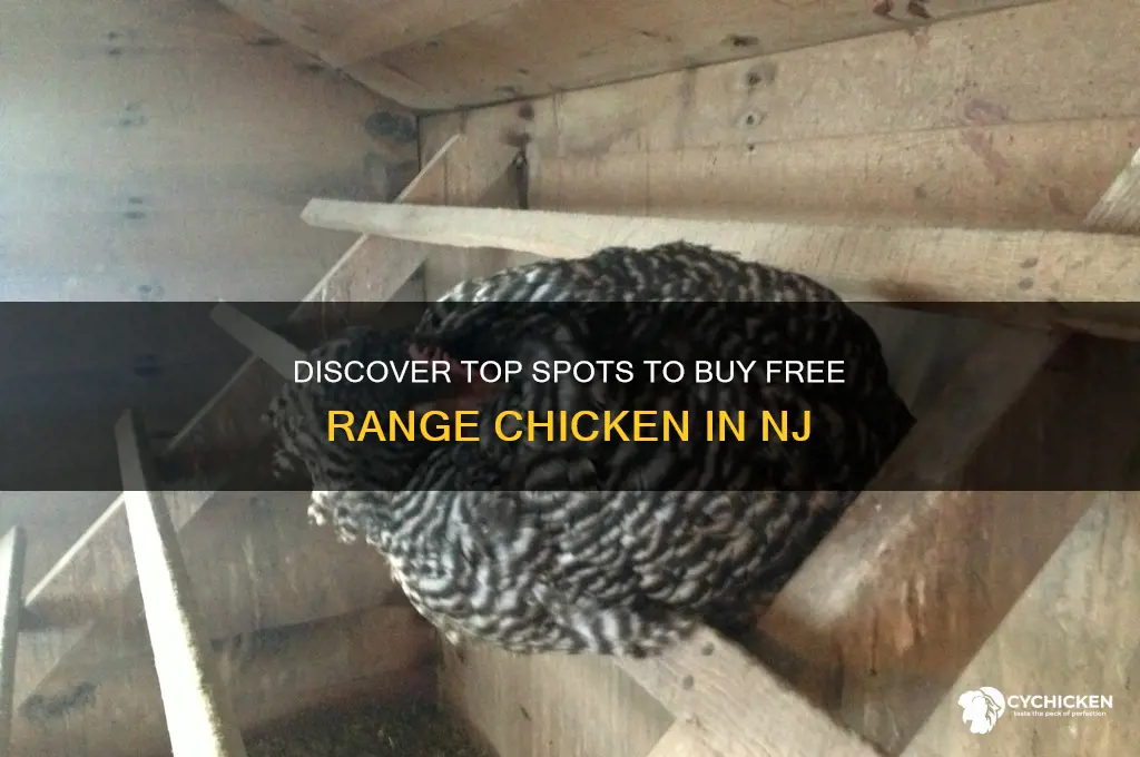 where to buy free range chicken nj