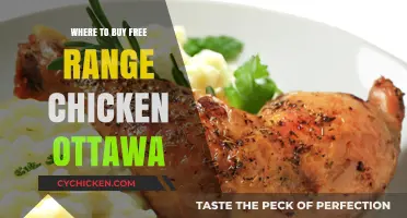 Discover Ottawa's Best Sources for Free Range Chicken Today