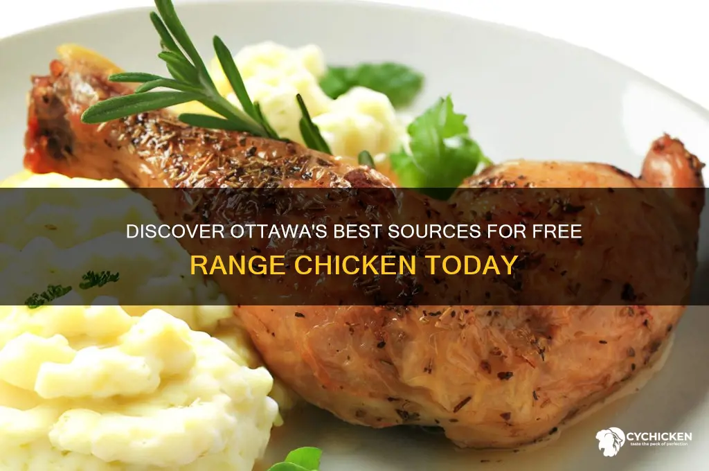 where to buy free range chicken ottawa