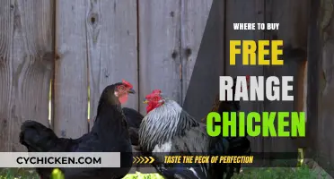 Discover the Best Places to Buy Free Range Chicken Locally