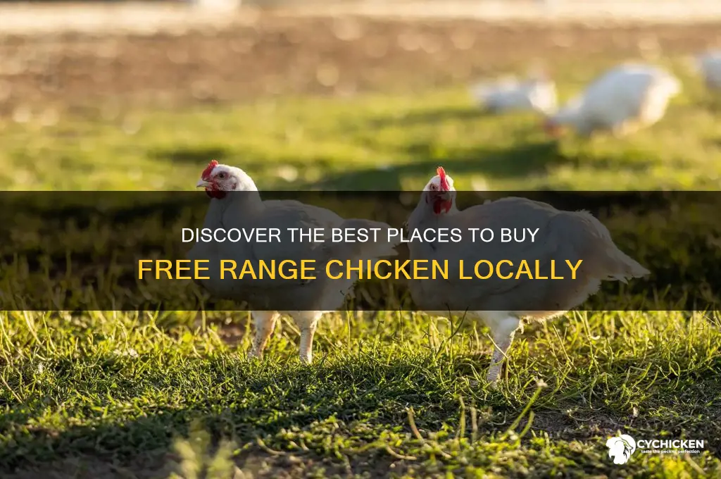 where to buy free range chicken