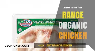 Discover Top Sources for Free Range Organic Chicken Near You