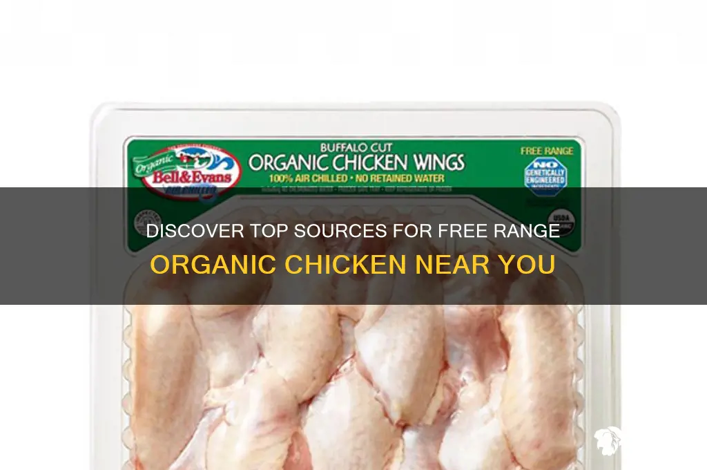where to buy free range organic chicken