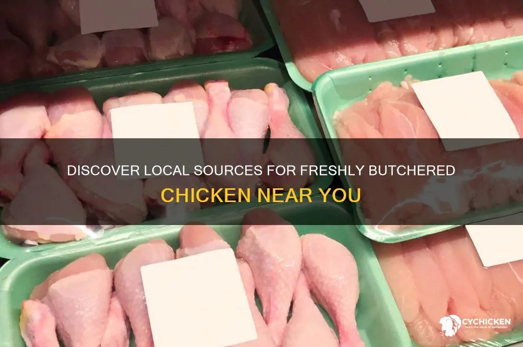 where to buy fresh butchered chicken