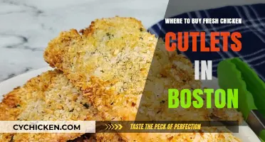 Boston's Best Spots for Fresh Chicken Cutlets: A Tasty Guide