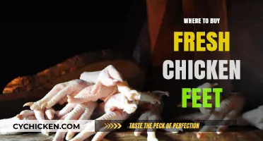 Discover the Best Places to Buy Fresh Chicken Feet Locally and Online