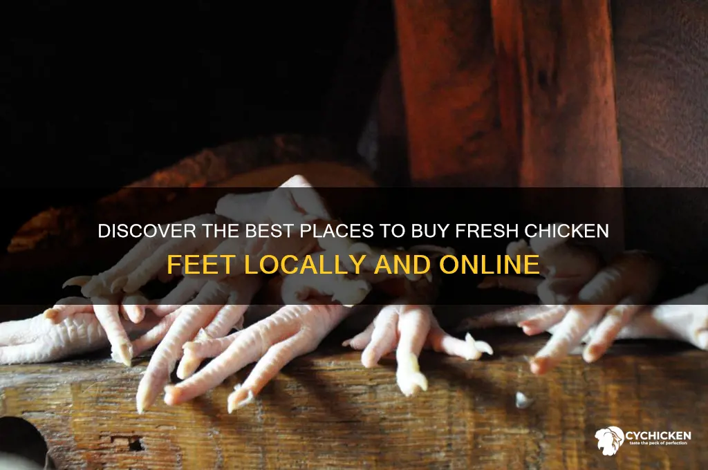 where to buy fresh chicken feet
