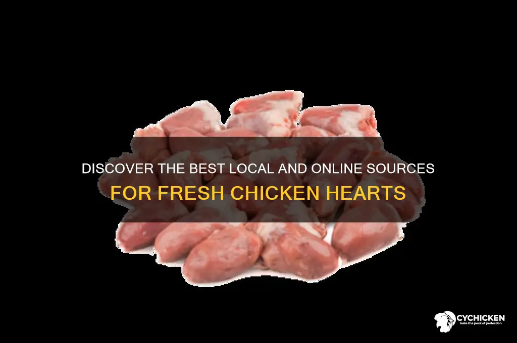 where to buy fresh chicken hearts
