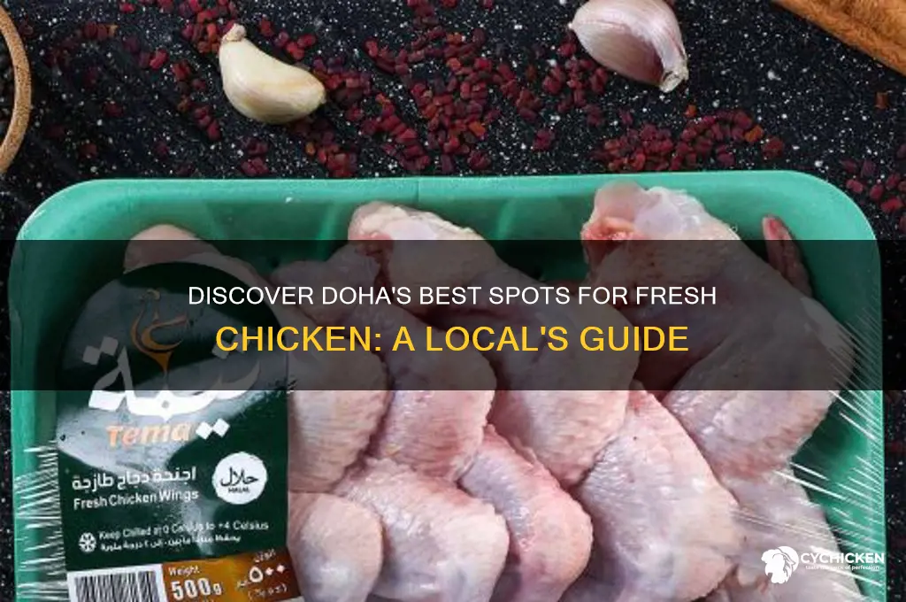 where to buy fresh chicken in doha