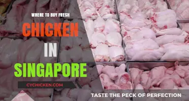 Discover Singapore's Best Spots for Fresh Chicken Purchases