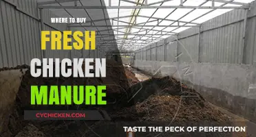 Best Sources for Fresh Chicken Manure: A Comprehensive Buying Guide