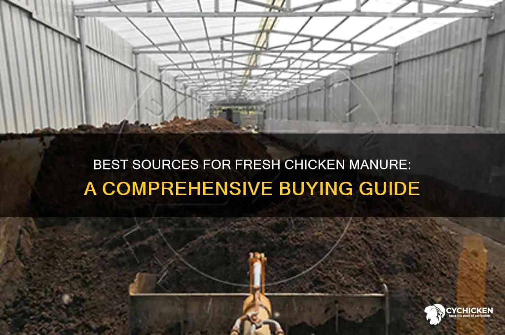 where to buy fresh chicken manure