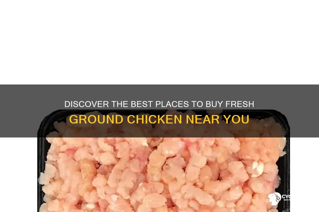 where to buy fresh ground chicken