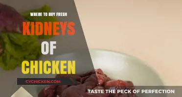 Where to Find Fresh Chicken Kidneys: Top Buying Tips