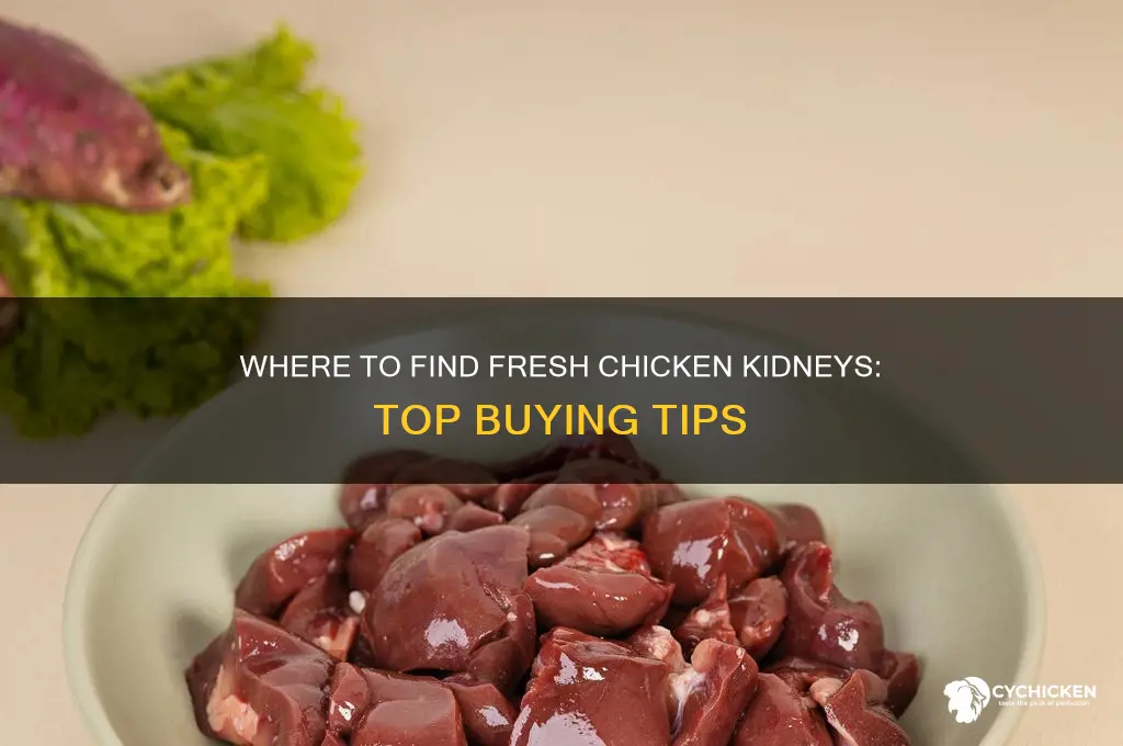where to buy fresh kidneys of chicken