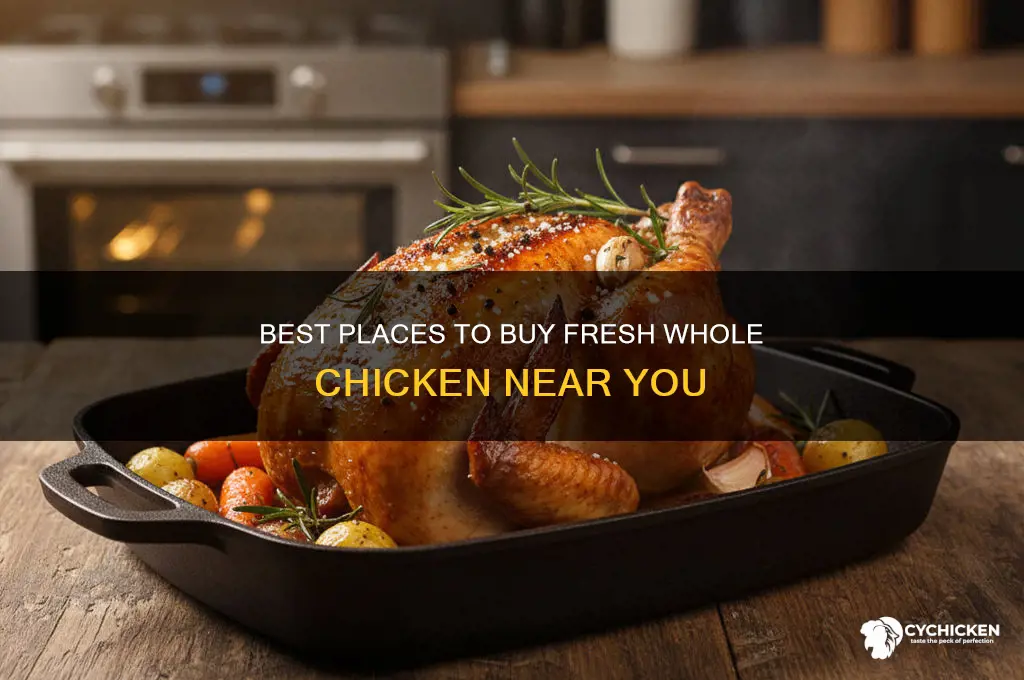 where to buy fresh whole chicken