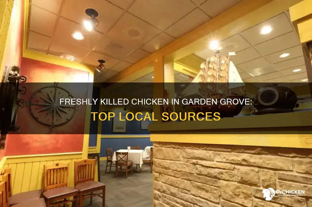 where to buy freshly killed chicken in garden grive