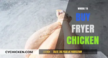 Best Places to Buy Fryer Chicken for Perfect Crispy Meals