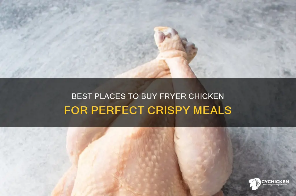 where to buy fryer chicken