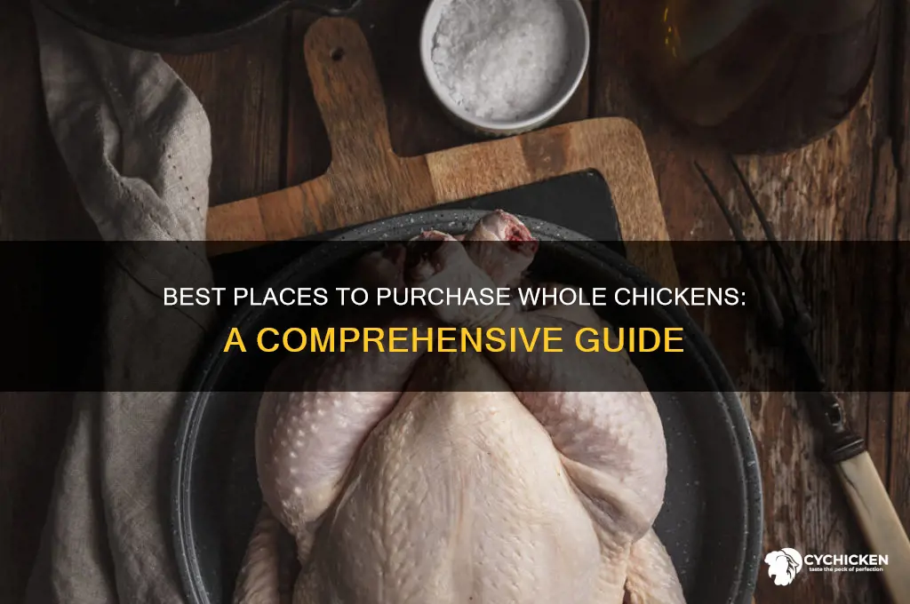 where to buy full chicken