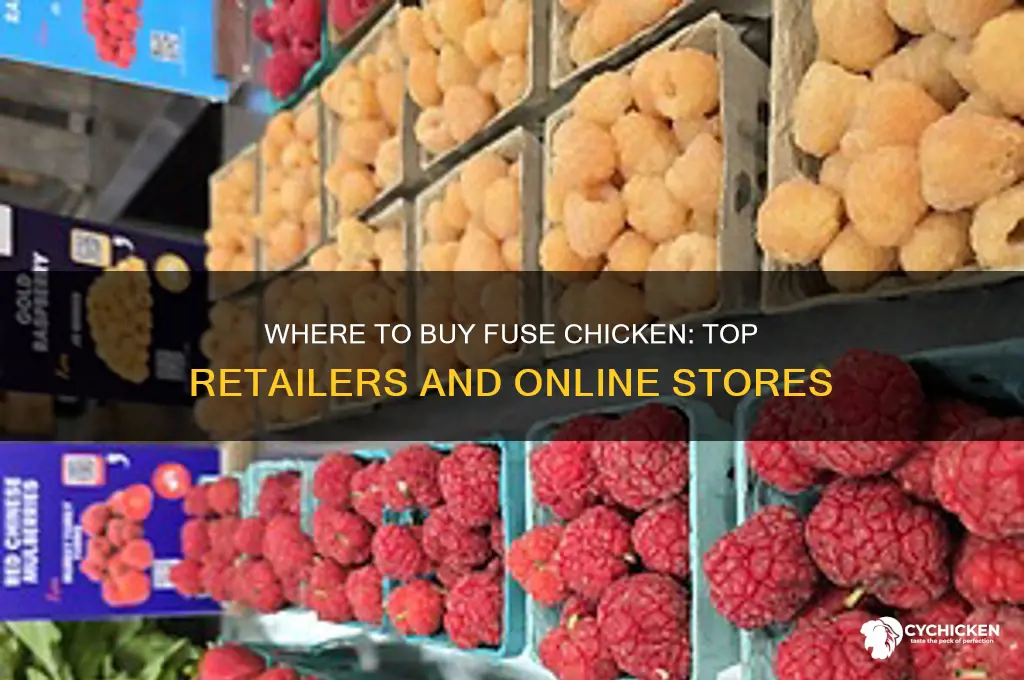where to buy fuse chicken