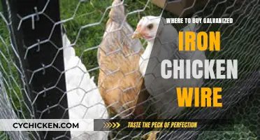 Best Places to Purchase Galvanized Iron Chicken Wire for Your Project