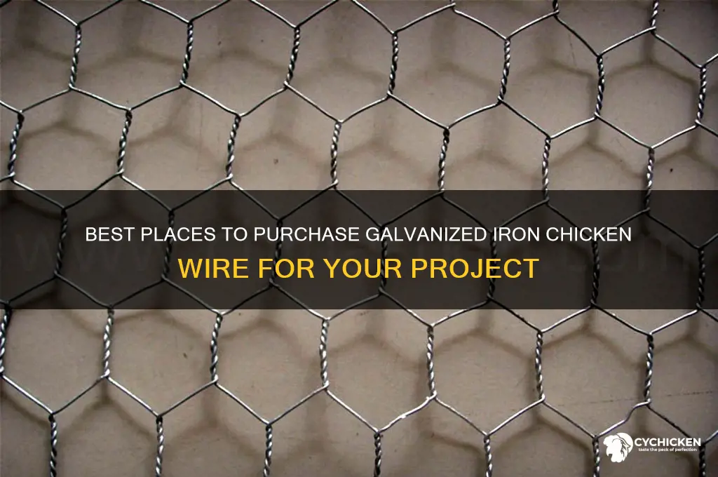 where to buy galvanized iron chicken wire