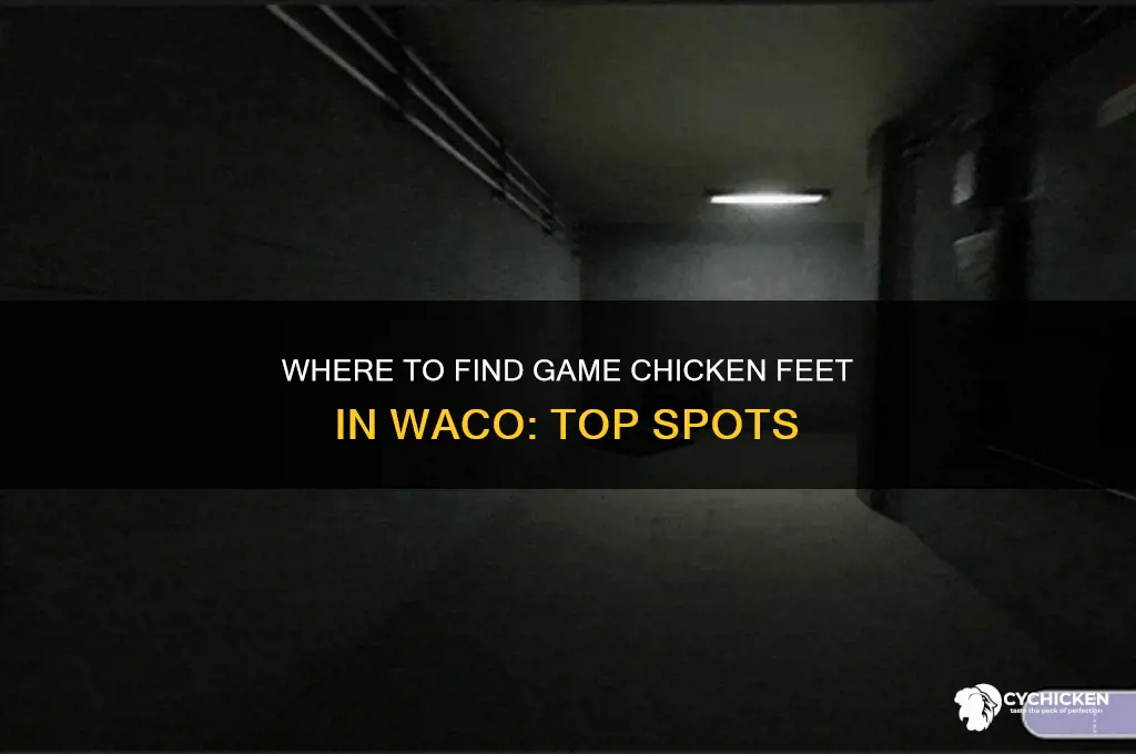 where to buy game chicken foot in waco