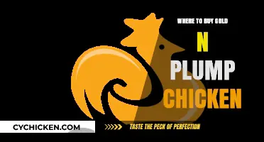 Top Retailers to Purchase Gold'n Plump Chicken: A Comprehensive Guide