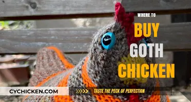 Where to Buy Goth Chicken: Top Retailers and Online Sources