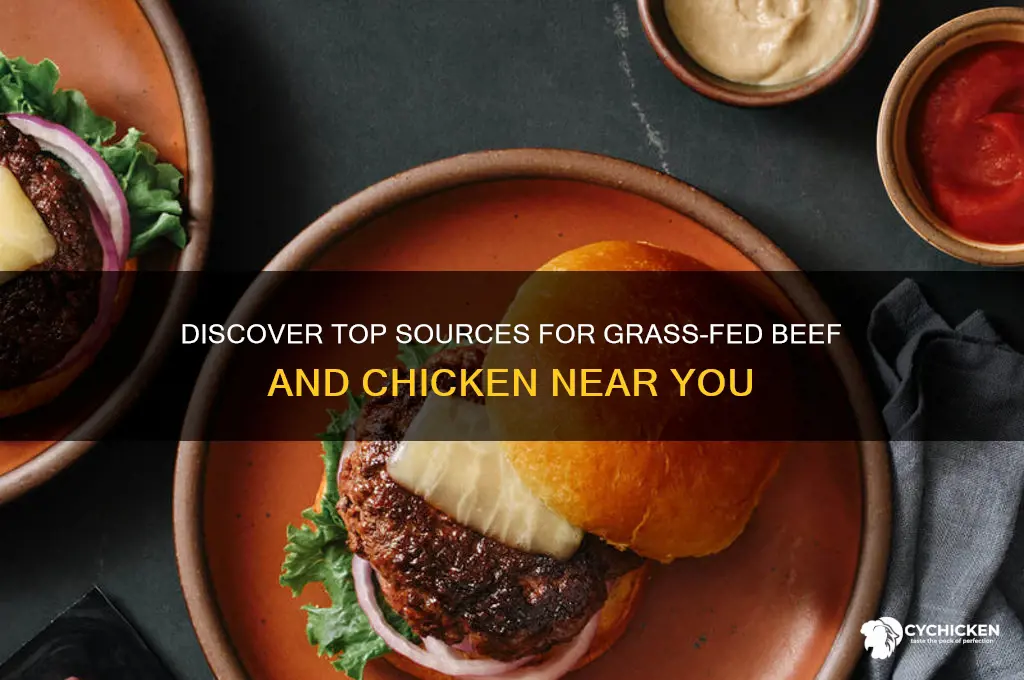 where to buy grass fed beef and chicken
