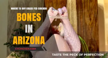 Arizona's Best Sources for Grass-Fed Chicken Bones: A Buyer's Guide