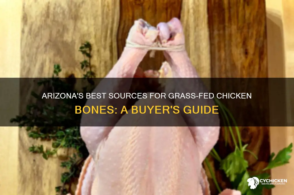 where to buy grass fed chicken bones in arizona