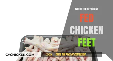 Where to Buy Grass-Fed Chicken Feet: Top Sources and Tips
