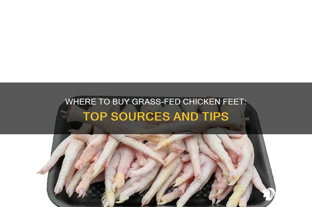 where to buy grass fed chicken feet