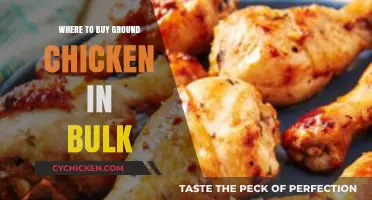 Best Places to Buy Ground Chicken in Bulk for Savings