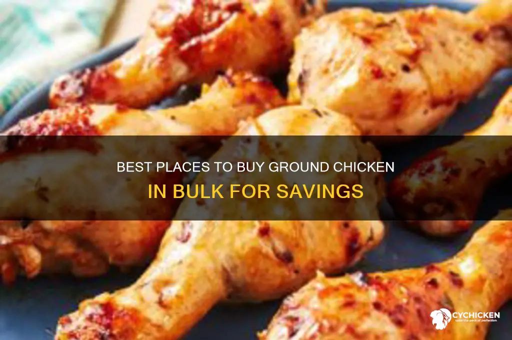 where to buy ground chicken in bulk