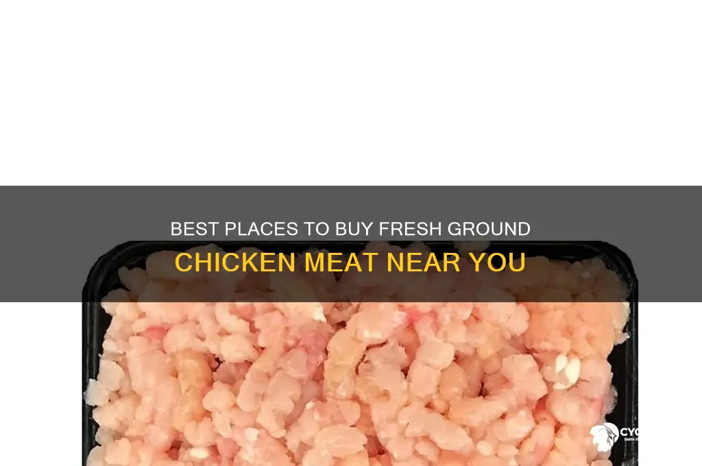where to buy ground chicken meat