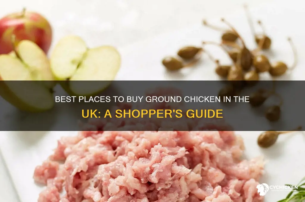 where to buy ground chicken uk