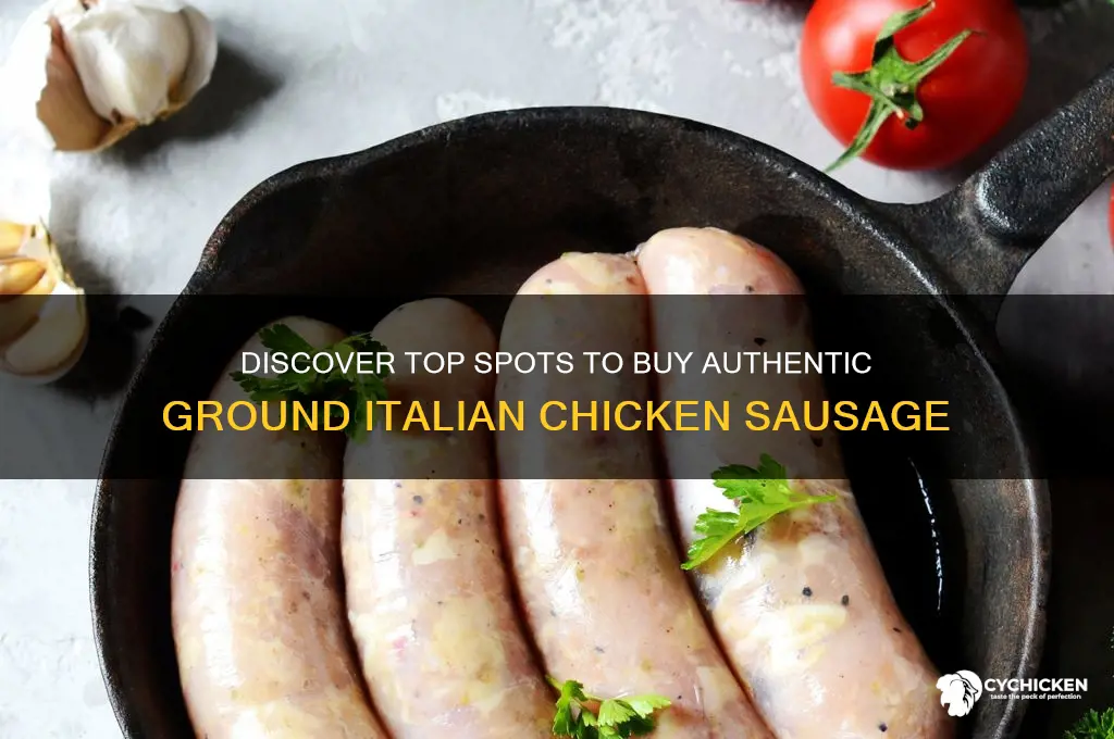 where to buy grounditalian chicken sausage
