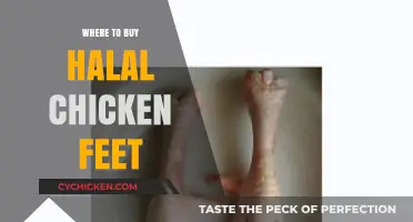 Best Places to Purchase Halal Chicken Feet Worldwide: A Guide