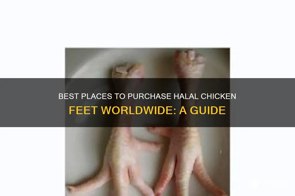 where to buy halal chicken feet